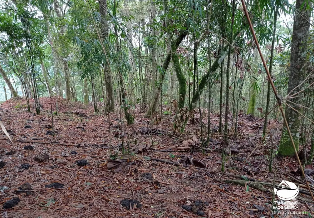 Terreno, 2 hectares - Foto 1