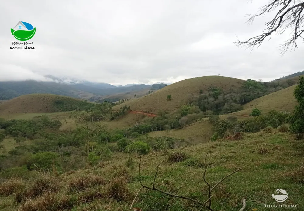 Terreno, 2 hectares - Foto 3