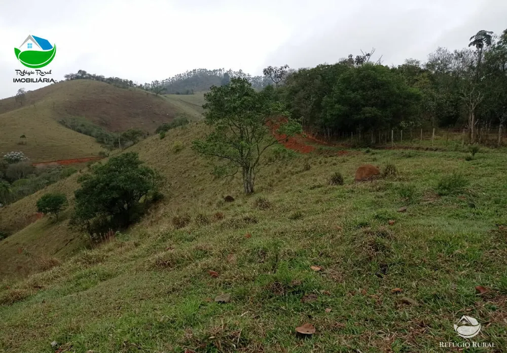 Terreno, 2 hectares - Foto 10
