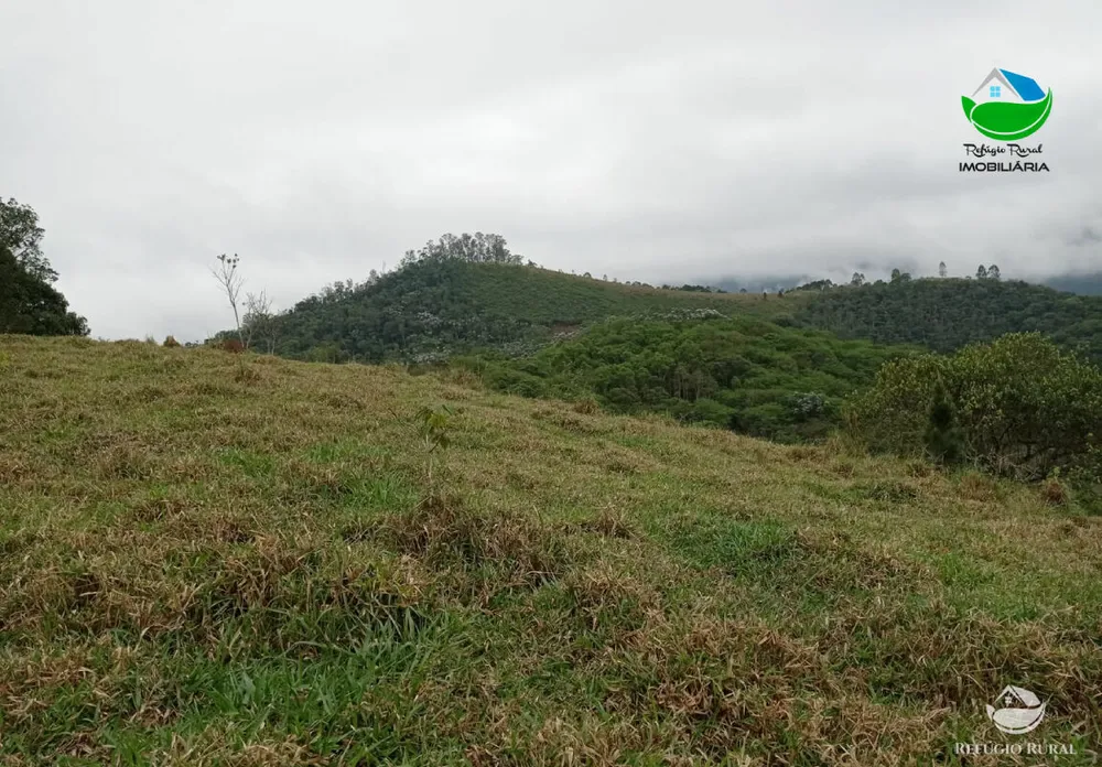 Terreno, 2 hectares - Foto 1