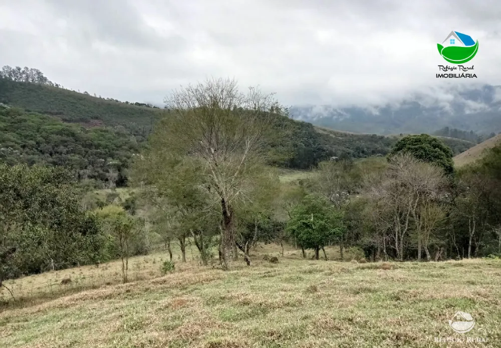 Terreno, 2 hectares - Foto 8