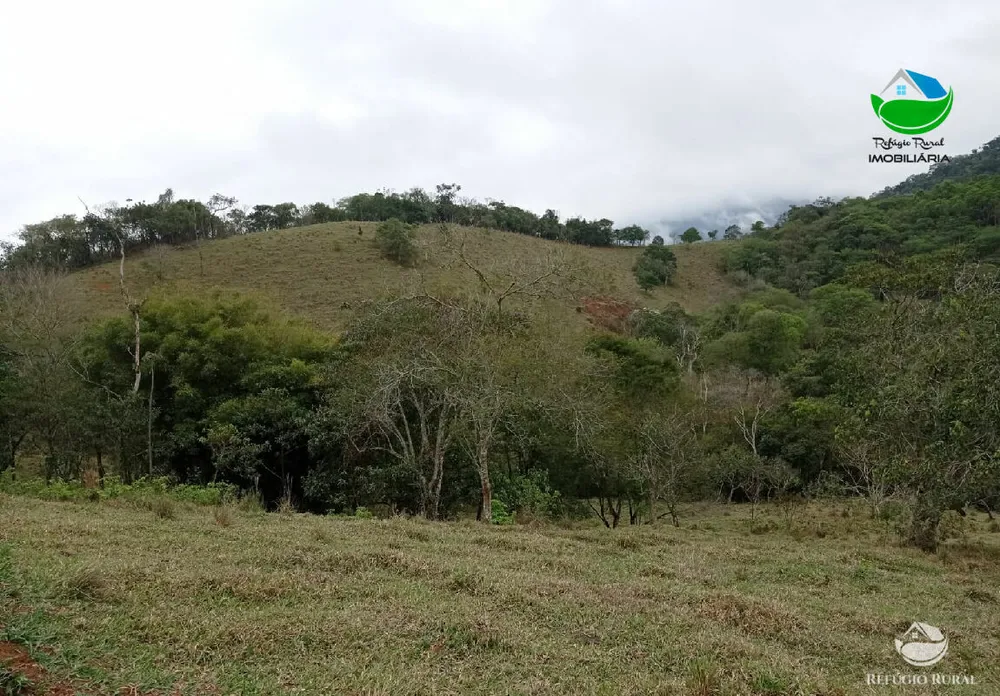 Terreno, 2 hectares - Foto 11