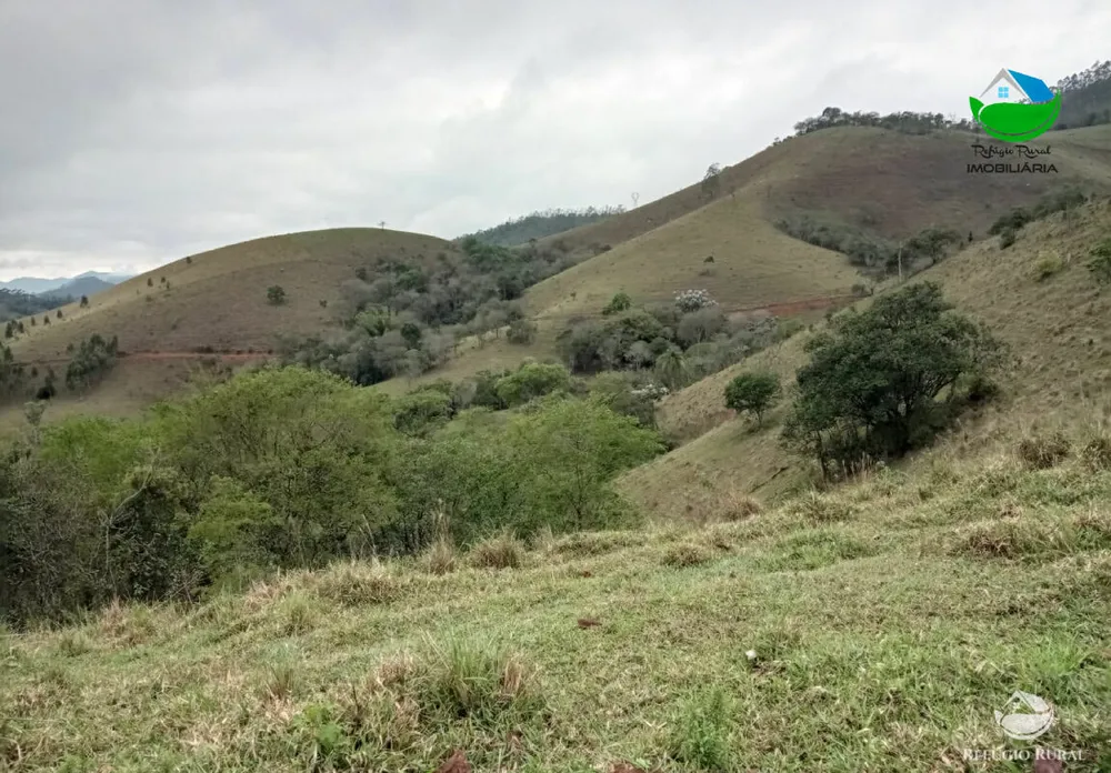 Terreno, 2 hectares - Foto 12