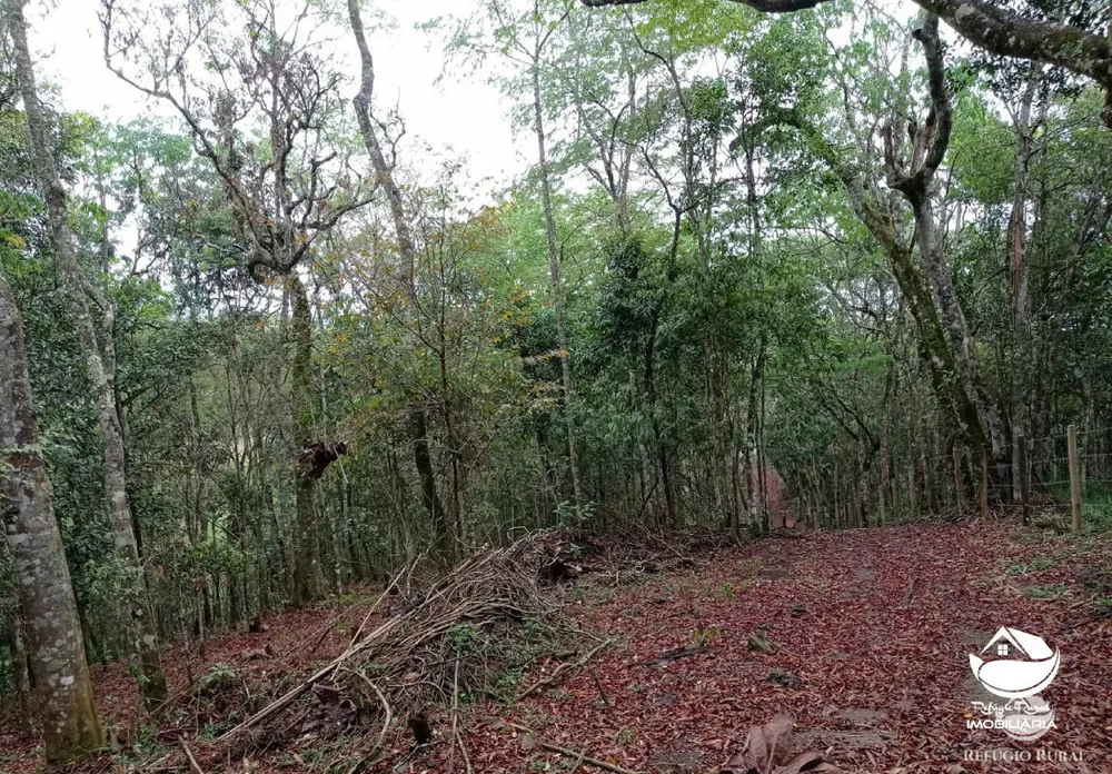 Terreno, 2 hectares - Foto 4