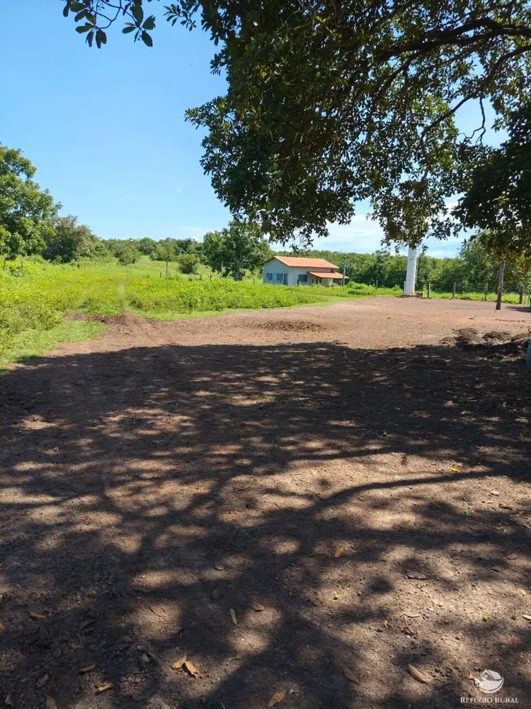Fazenda, 910 hectares - Foto 5