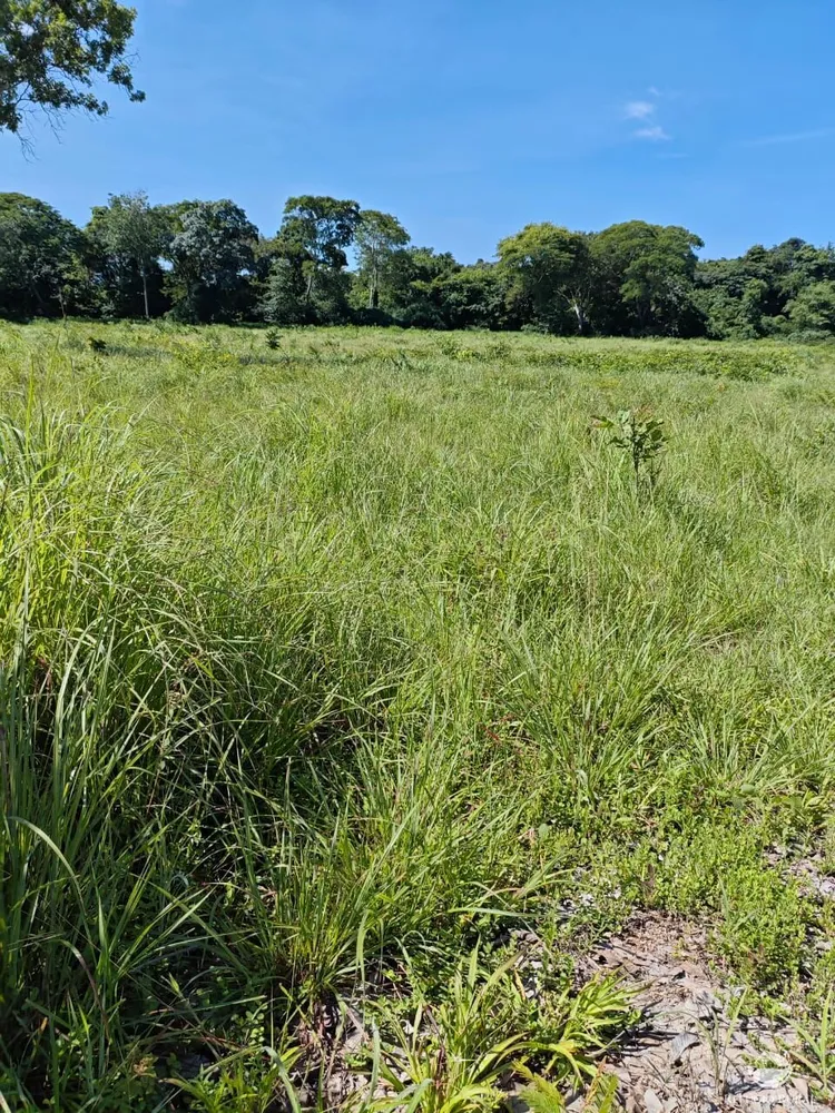 Fazenda, 910 hectares - Foto 1