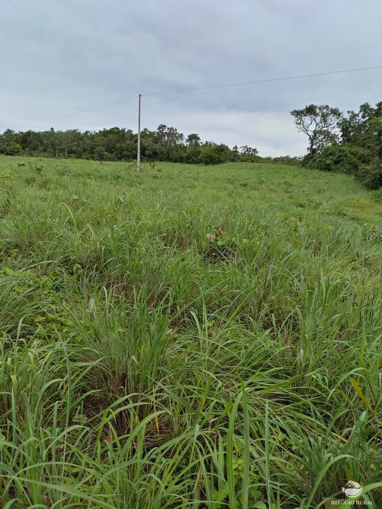 Fazenda, 910 hectares - Foto 4