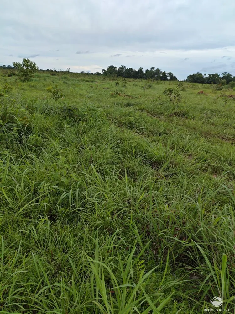 Fazenda, 910 hectares - Foto 6