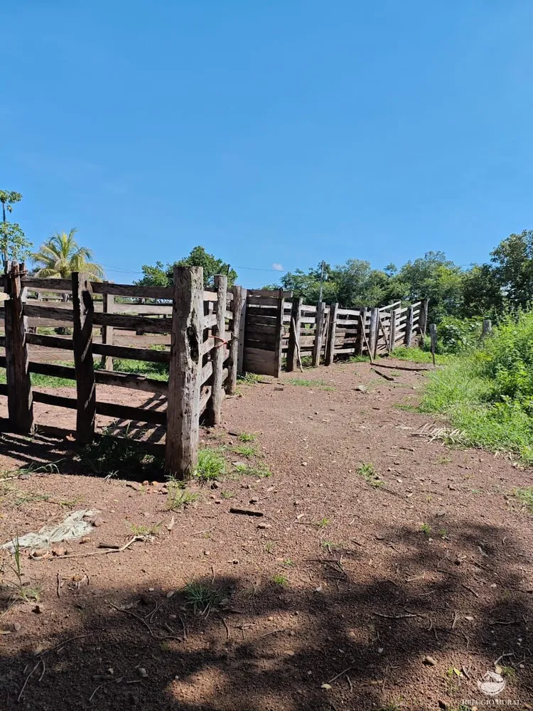Fazenda, 910 hectares - Foto 7