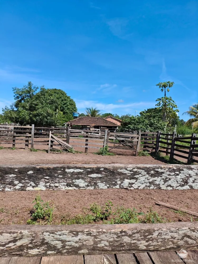 Fazenda, 910 hectares - Foto 1