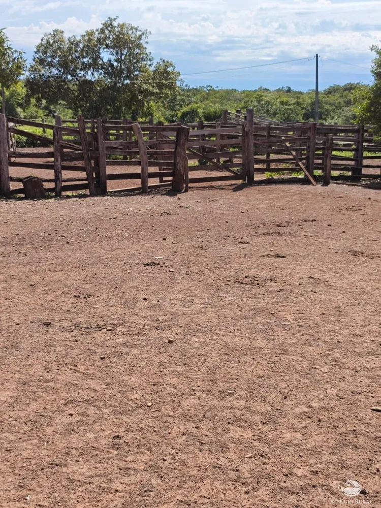 Fazenda, 910 hectares - Foto 2