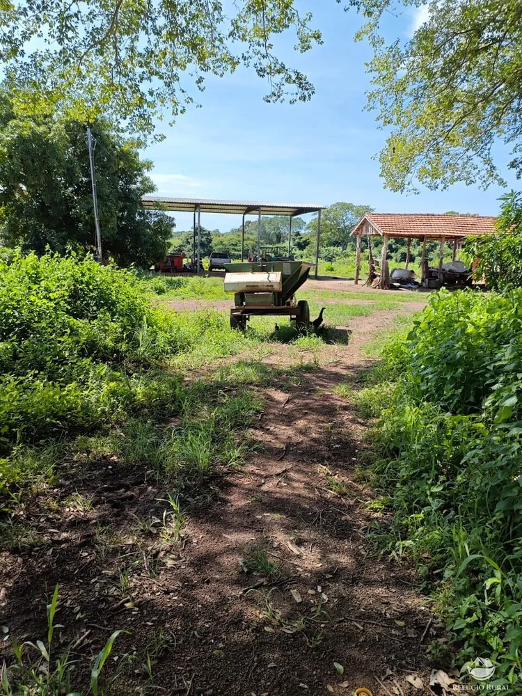 Fazenda, 910 hectares - Foto 2