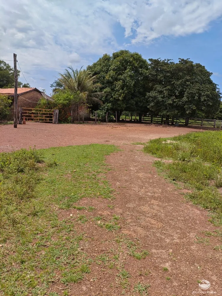 Fazenda, 910 hectares - Foto 3