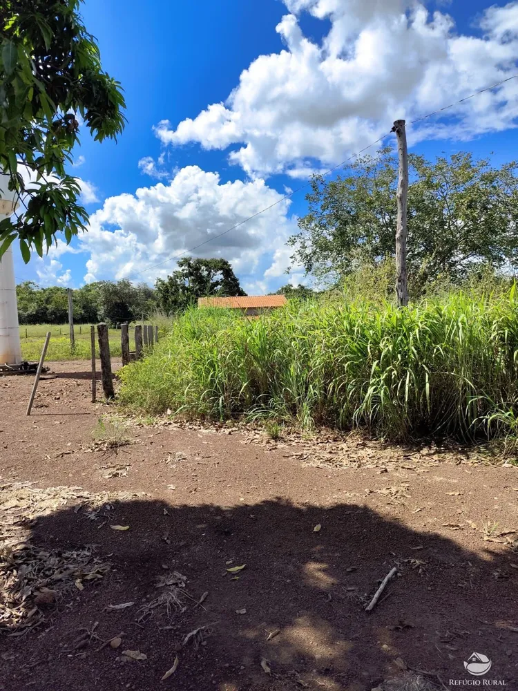 Fazenda, 910 hectares - Foto 14