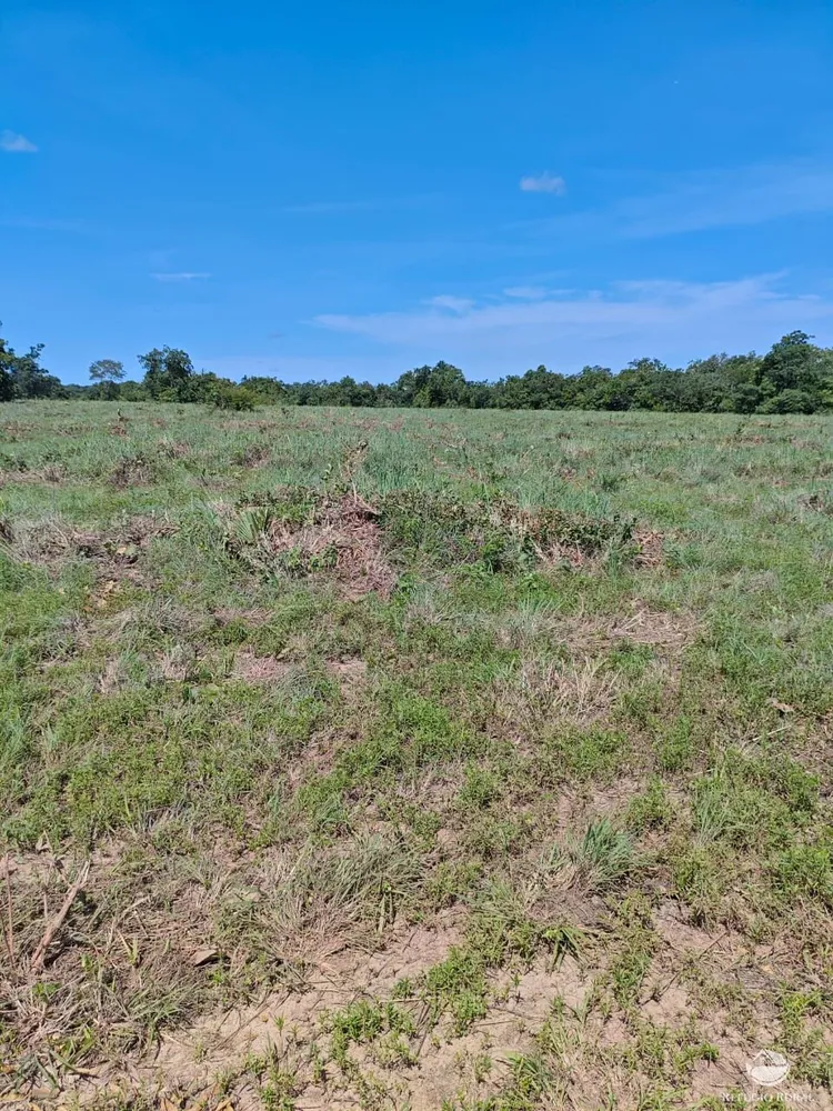Fazenda, 910 hectares - Foto 12