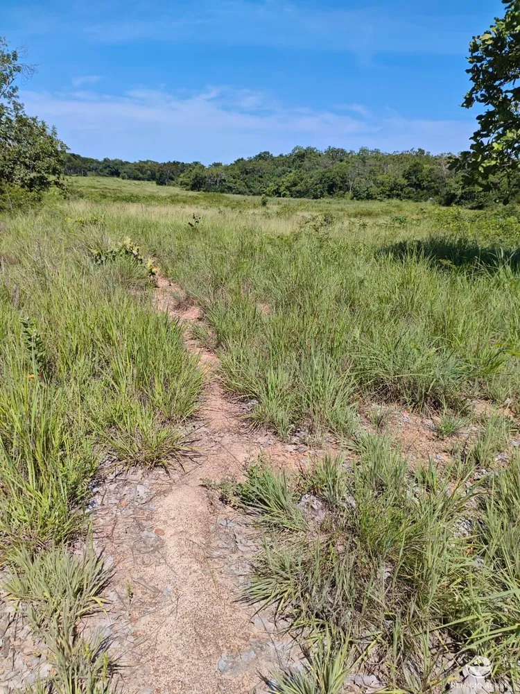 Fazenda, 910 hectares - Foto 9