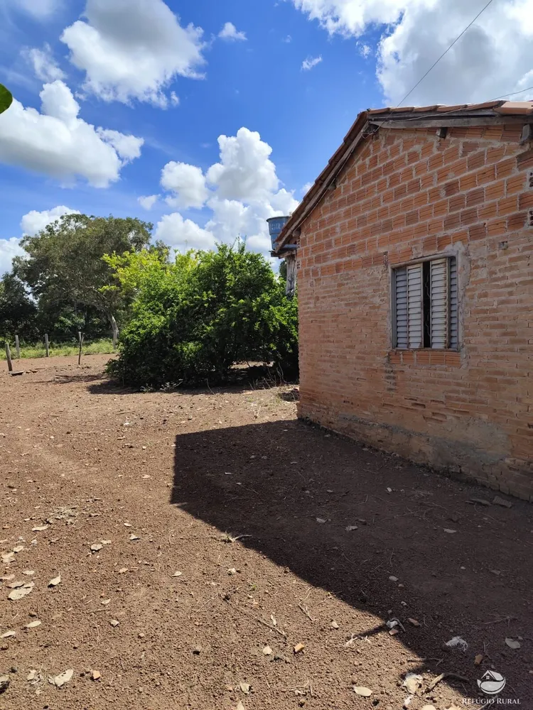 Fazenda, 910 hectares - Foto 15