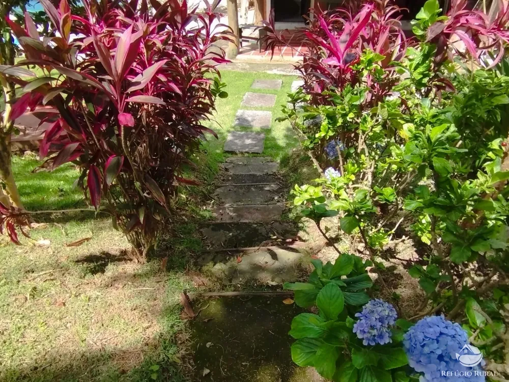 Chácara, 1 hectares - Foto 7