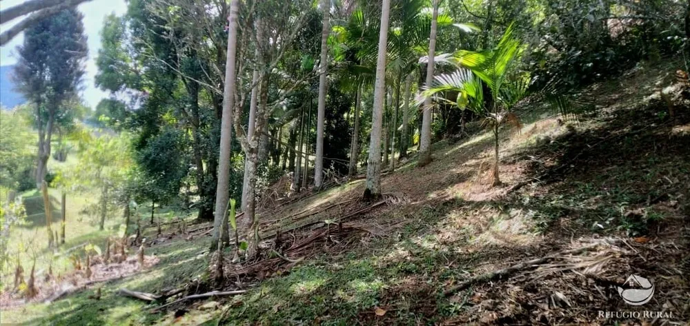 Chácara, 1 hectares - Foto 10