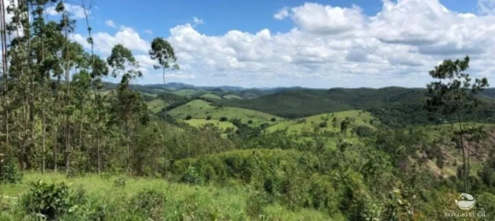 Fazenda, 47 hectares - Foto 1