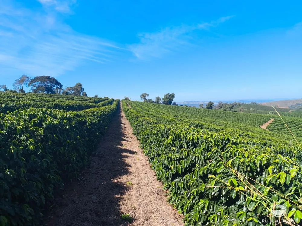 Fazenda, 169 hectares - Foto 8
