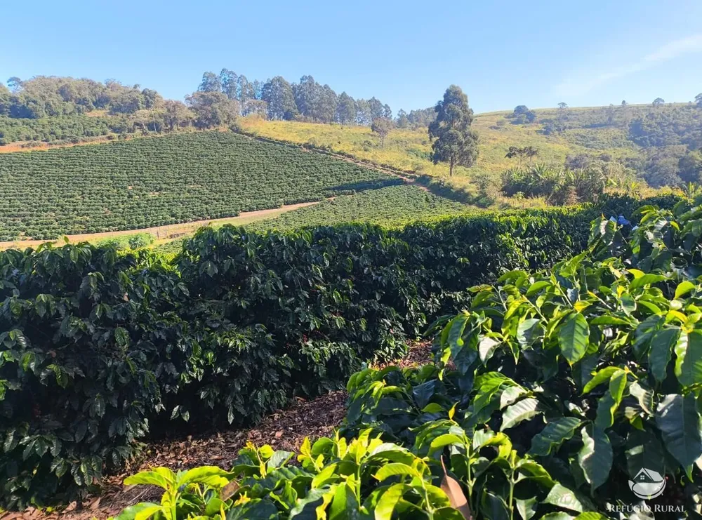 Fazenda, 169 hectares - Foto 1