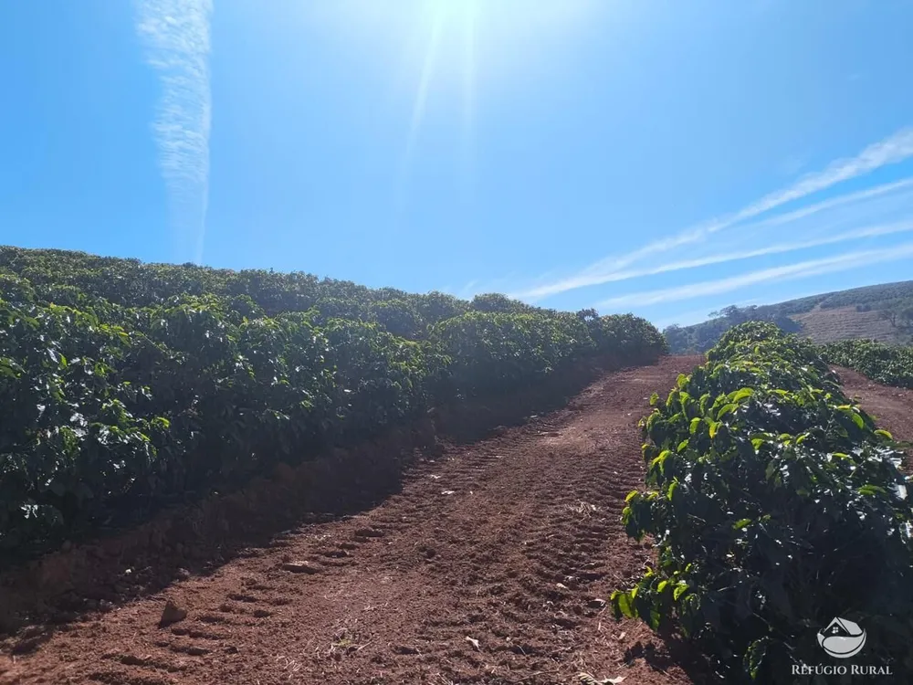 Fazenda, 169 hectares - Foto 14