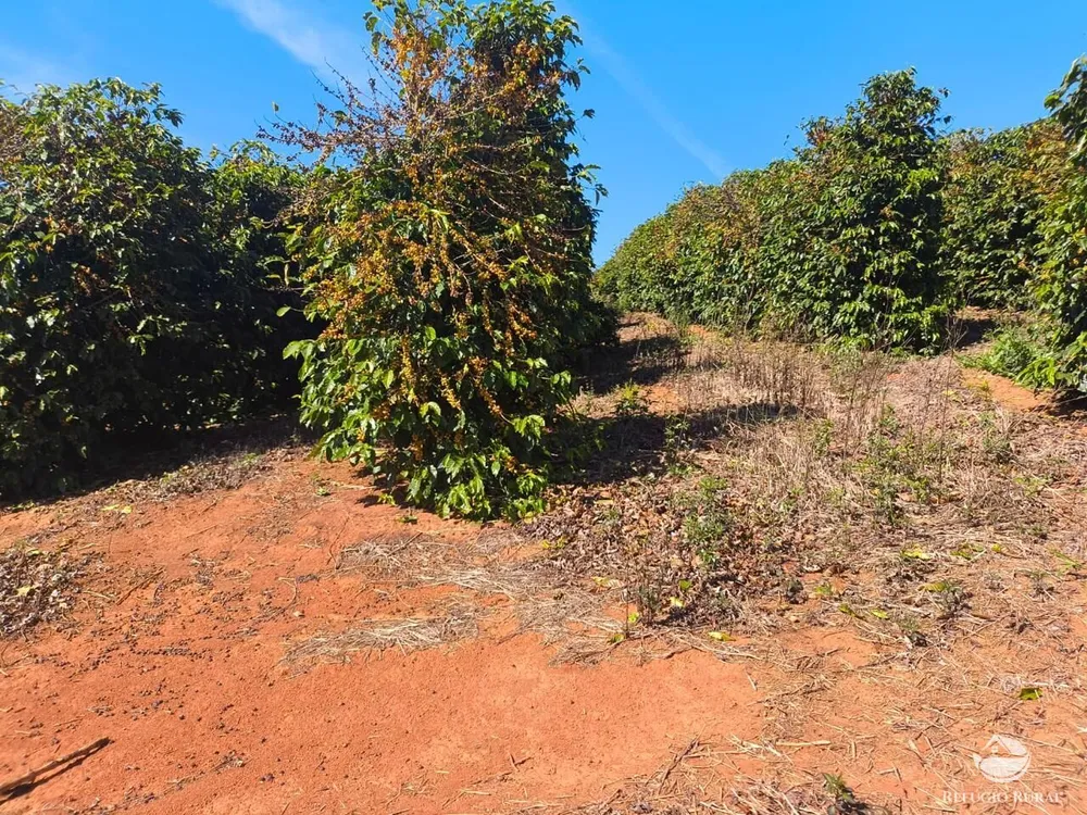 Fazenda, 169 hectares - Foto 16