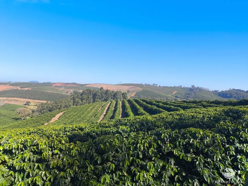 Fazenda, 169 hectares - Foto 2