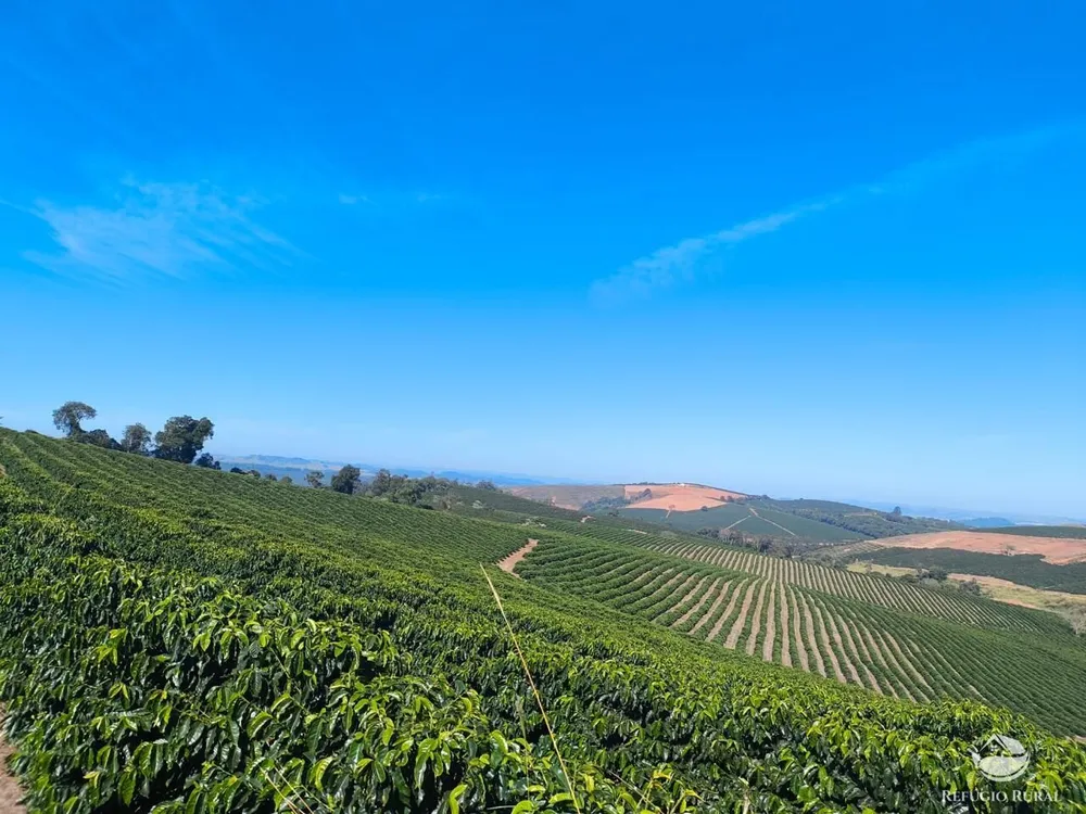 Fazenda, 169 hectares - Foto 9