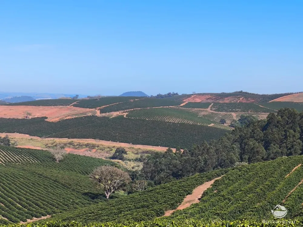 Fazenda, 169 hectares - Foto 6