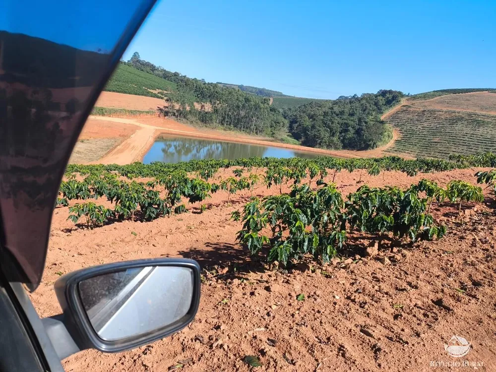 Fazenda, 169 hectares - Foto 10