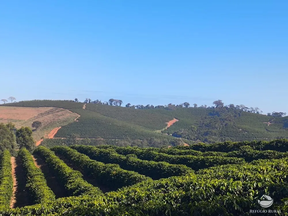 Fazenda, 169 hectares - Foto 7