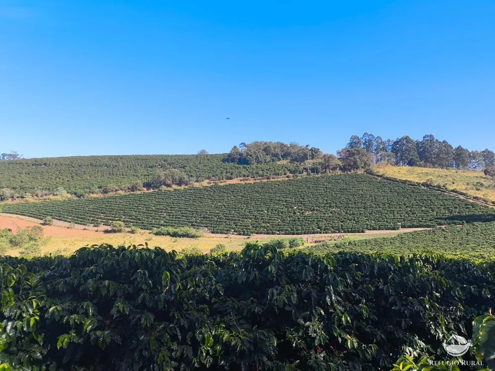Fazenda, 169 hectares - Foto 5