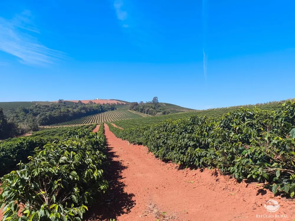 Fazenda, 169 hectares - Foto 13