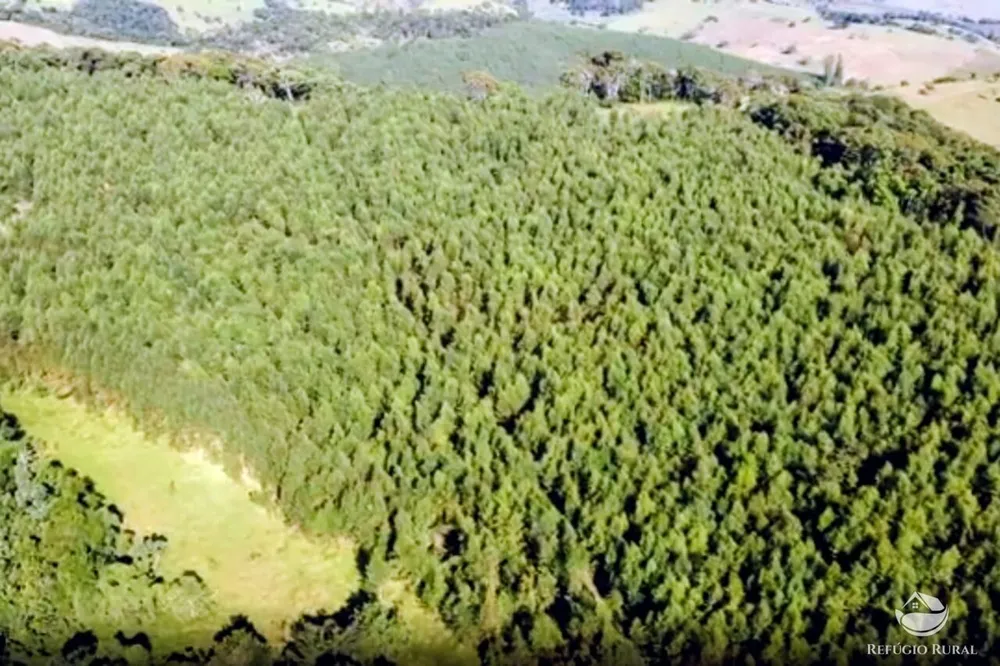 Sítio, 27 hectares - Foto 13