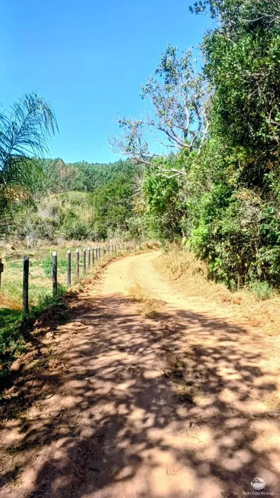 Sítio, 27 hectares - Foto 6