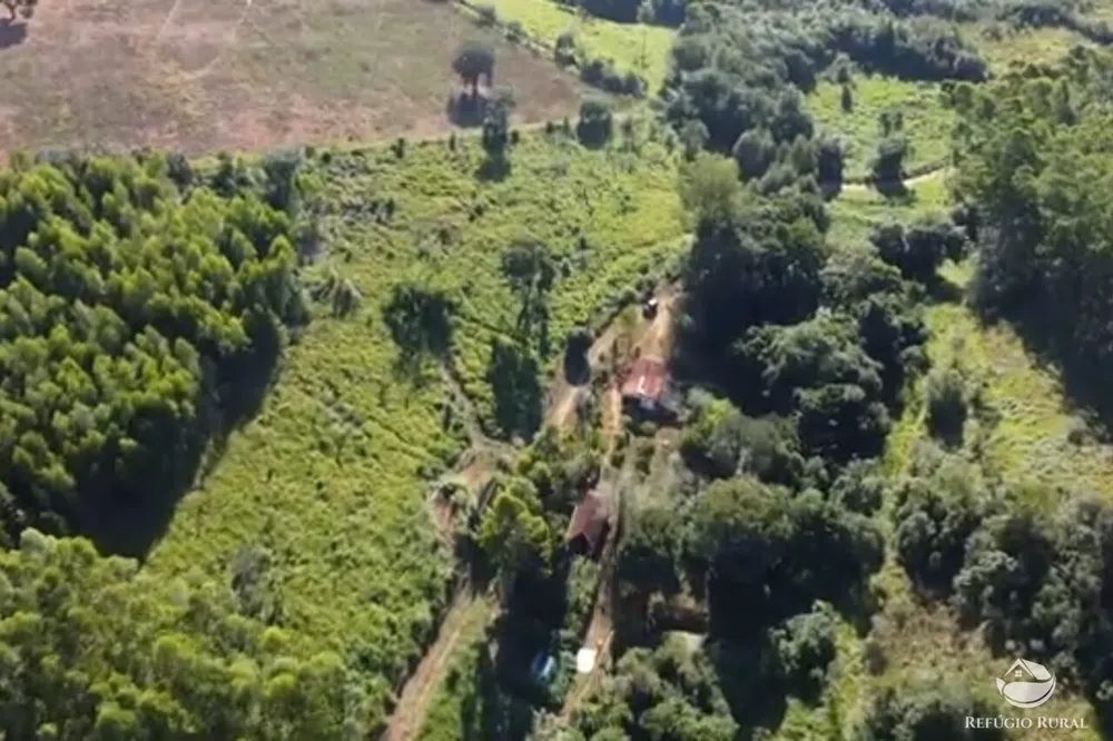Sítio, 27 hectares - Foto 15