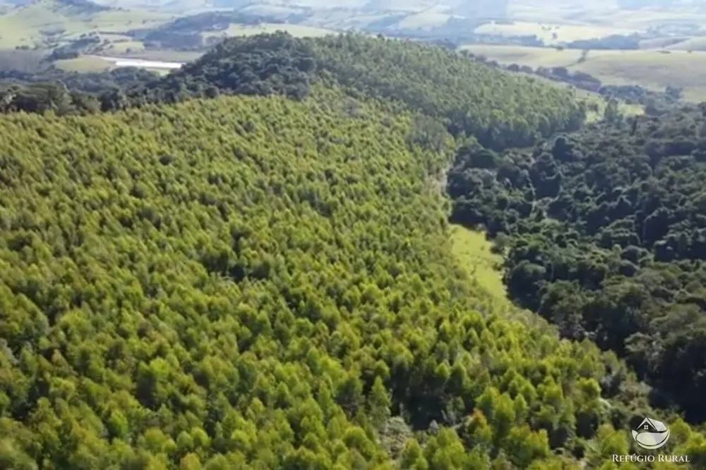 Sítio, 27 hectares - Foto 11