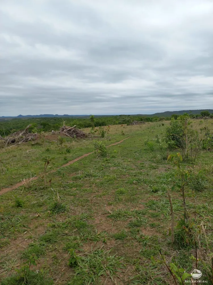 Fazenda, 700 hectares - Foto 2