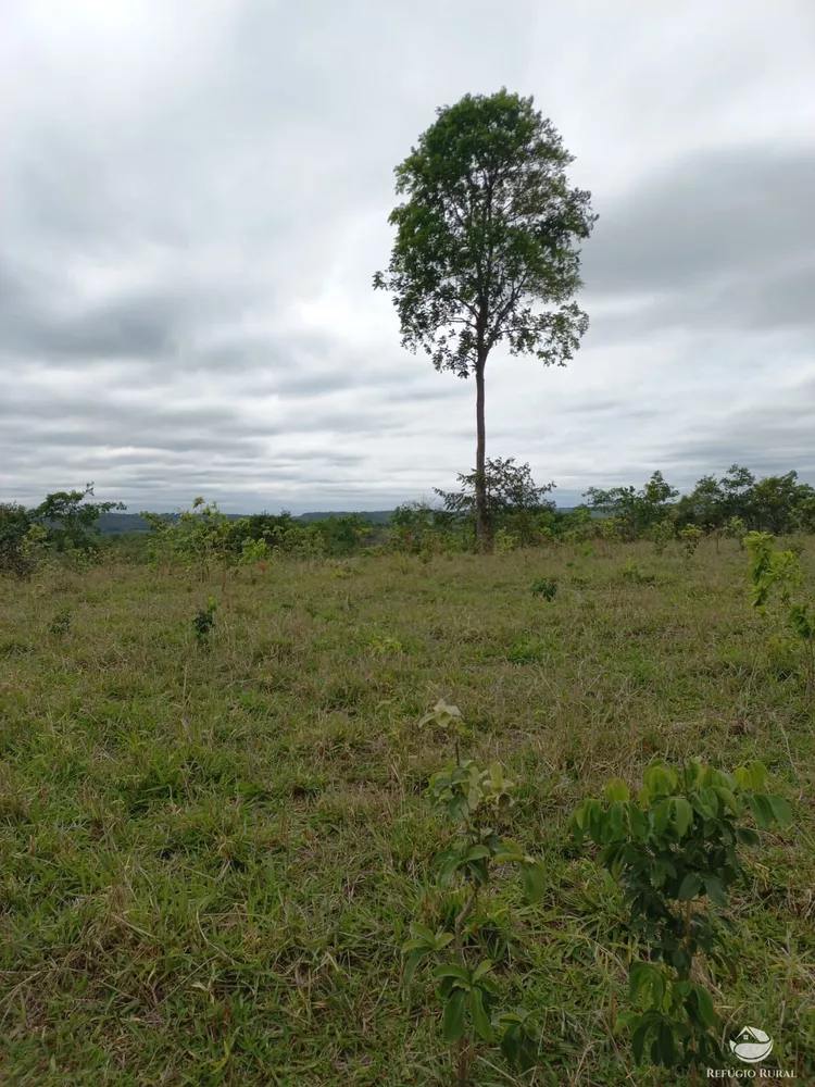 Fazenda, 700 hectares - Foto 1