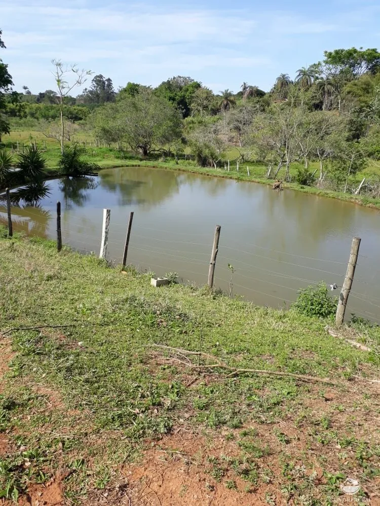Sítio, 3 hectares - Foto 16