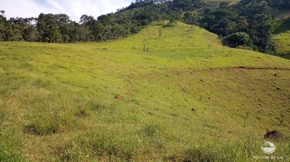 Sítio, 8 hectares - Foto 7