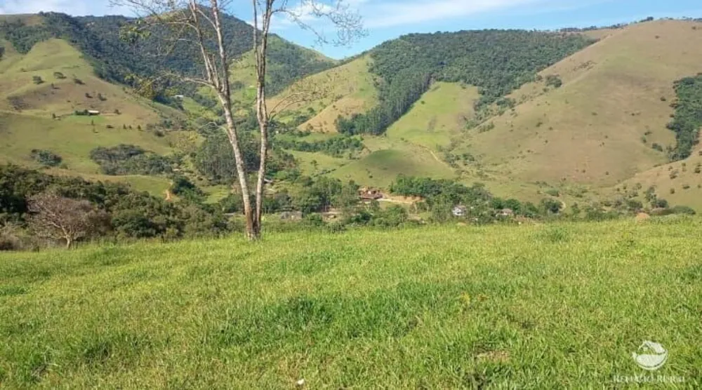 Sítio, 8 hectares - Foto 2
