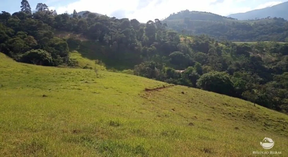 Sítio, 8 hectares - Foto 8