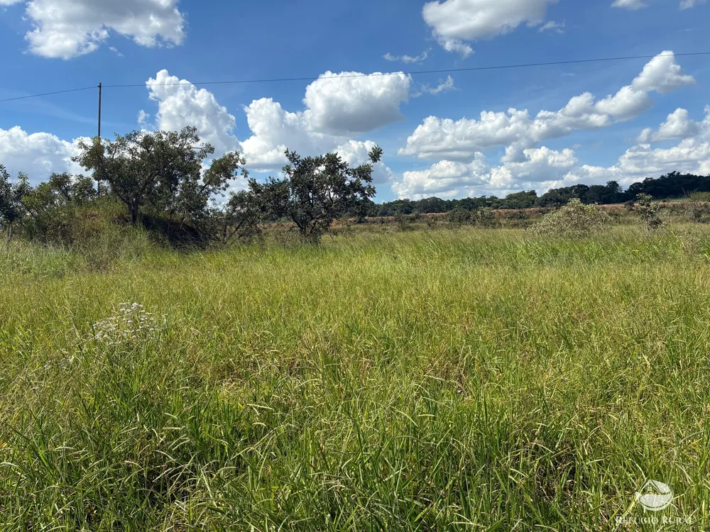 Terreno, 3 hectares - Foto 4
