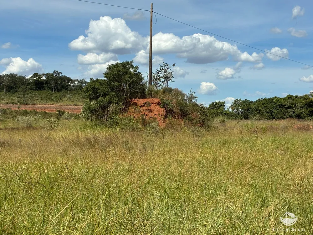 Terreno, 3 hectares - Foto 10