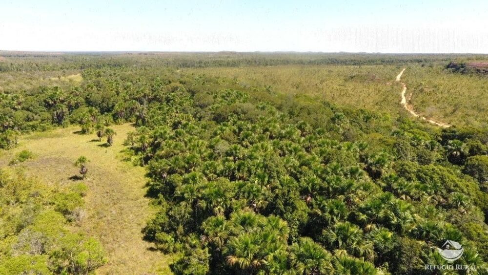 Fazenda à venda com 1 quarto, 96800000m² - Foto 4