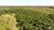 Fazenda-Sítio-Chácara, 9680 hectares - Foto 4
