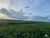 Fazenda-Sítio-Chácara, 3700 hectares - Foto 1